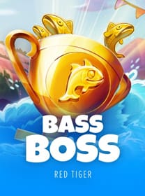 dsss.com